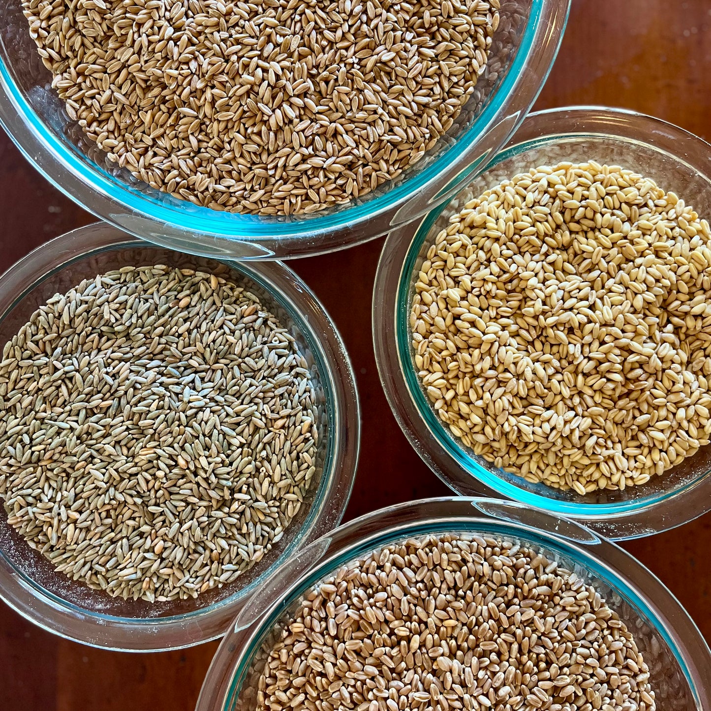 Freshly Milled Einkorn Flour